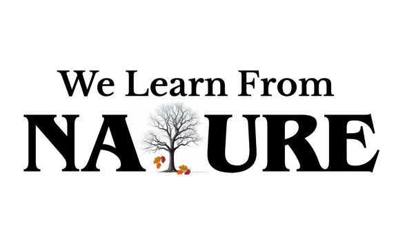We Learn From Nature